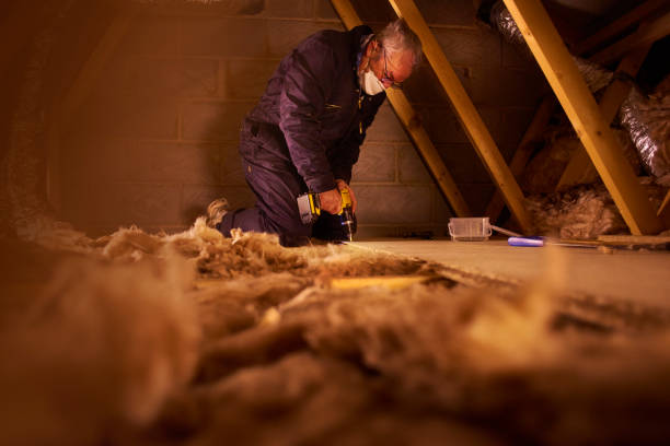 Best Types of Insulation in Colby, WI